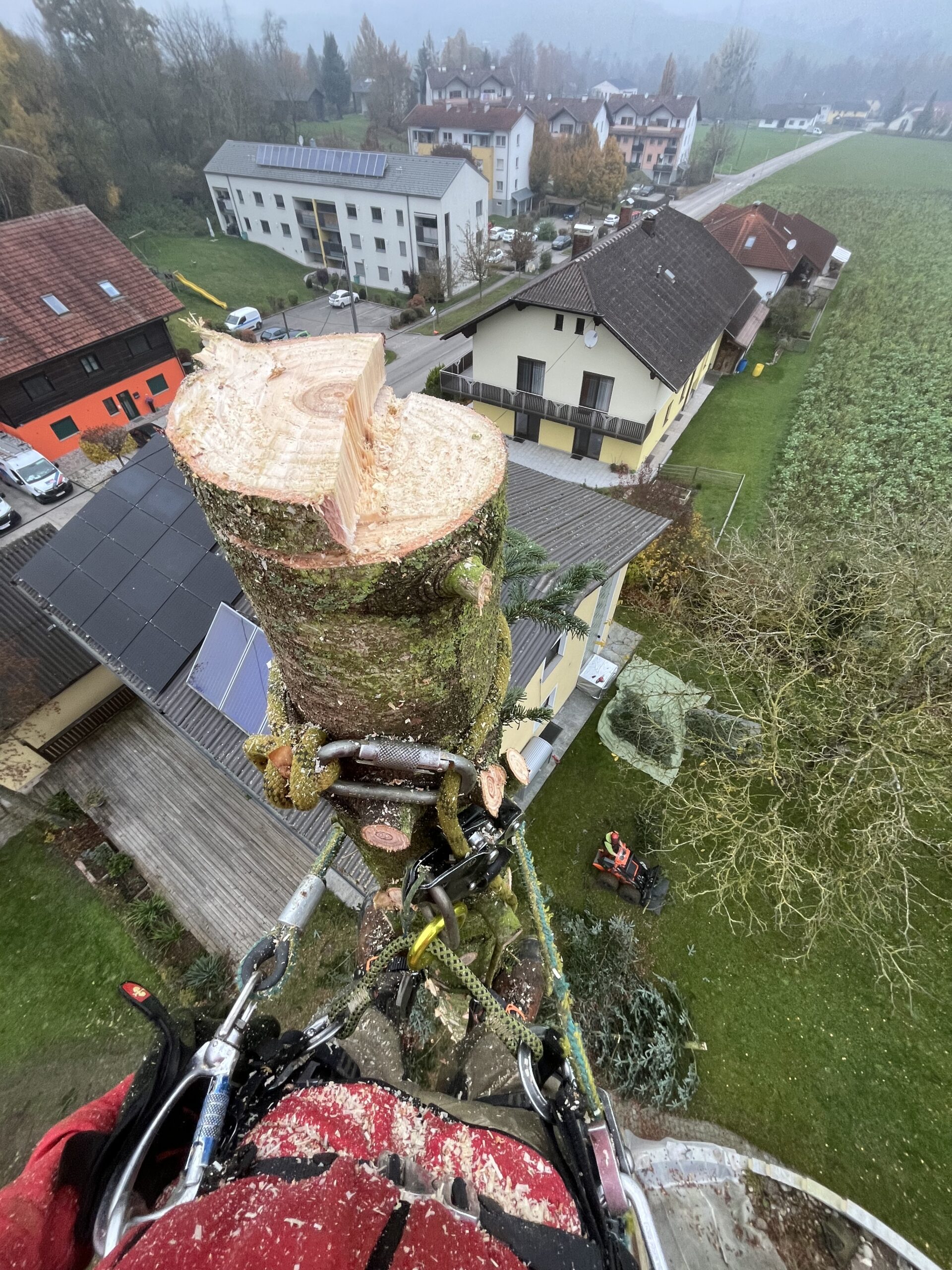 Wald- und Grünraumpflege Lukas Schliefnig aus Meggenhofen im Bezirk Grieskirchen in Oberösterreich