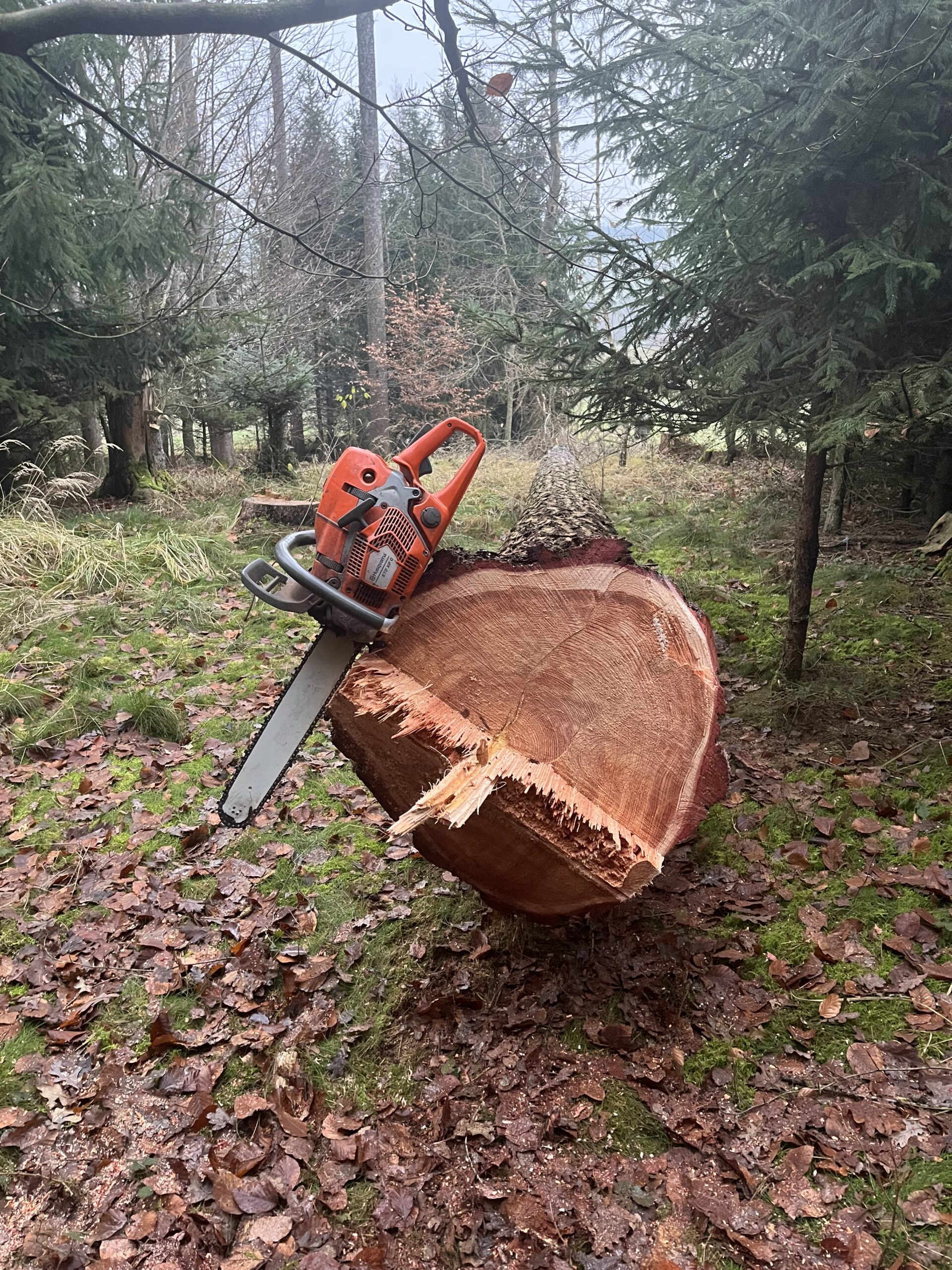 Wald- und Grünraumpflege Lukas Schliefnig aus Meggenhofen im Bezirk Grieskirchen in Oberösterreich