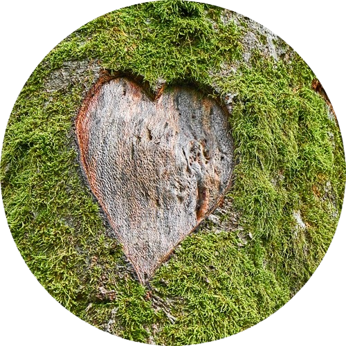 Wald- und Grünraumpflege Lukas Schliefnig aus Meggenhofen im Bezirk Grieskirchen in Oberösterreich